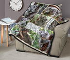 premium-quilts-koala-coverlets-so-cute