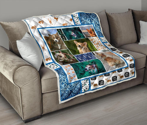 corgi-dog-with-fern-quilt