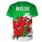 wales-t-shirt-art-painting-style