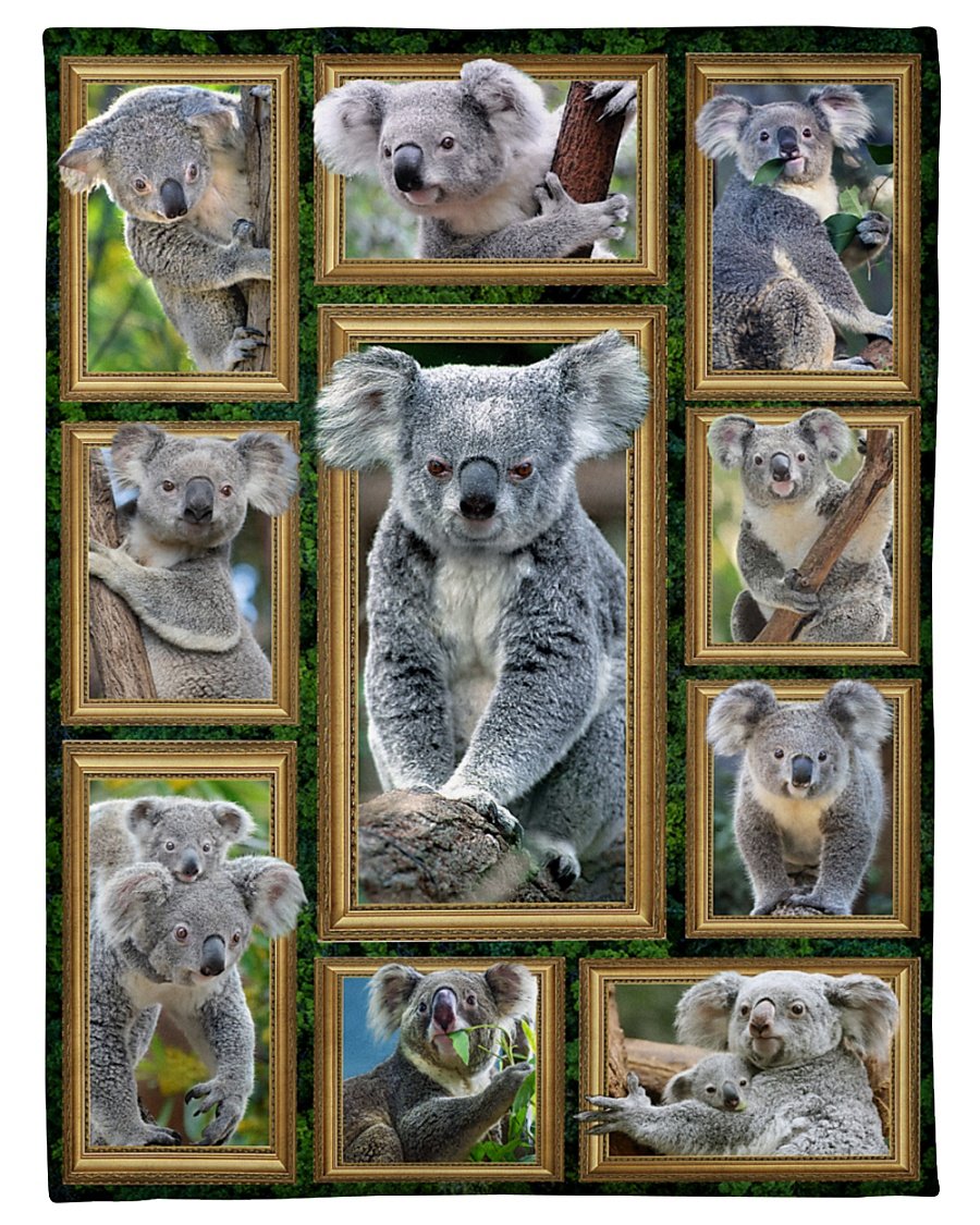 australia-blanekt-koala-3d
