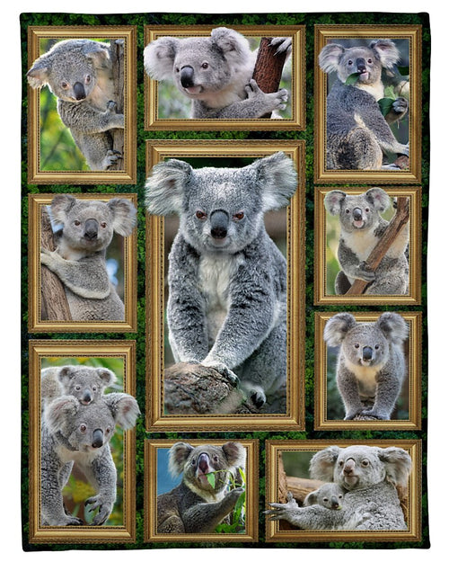 australia-blanekt-koala-3d