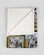 australia-blanekt-koala-3d